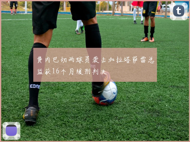 费内巴切两球员袭击加拉塔萨雷总监获16个月缓刑判决